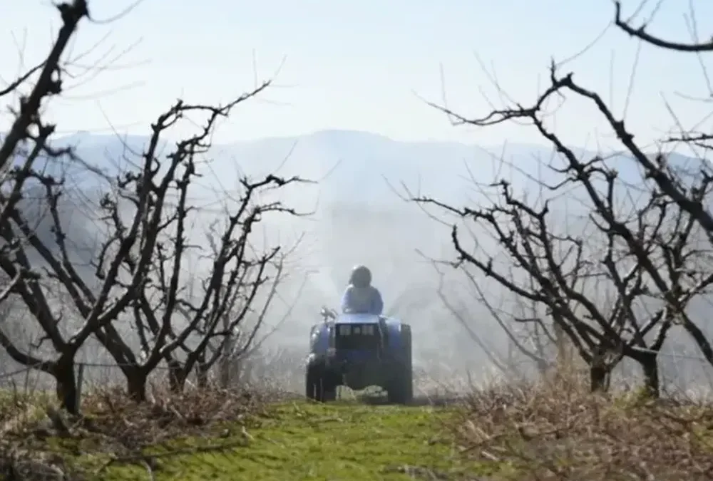 PROLEĆNO PRSKANJE – KLJUČNA MERA ZAŠTITE BILJA